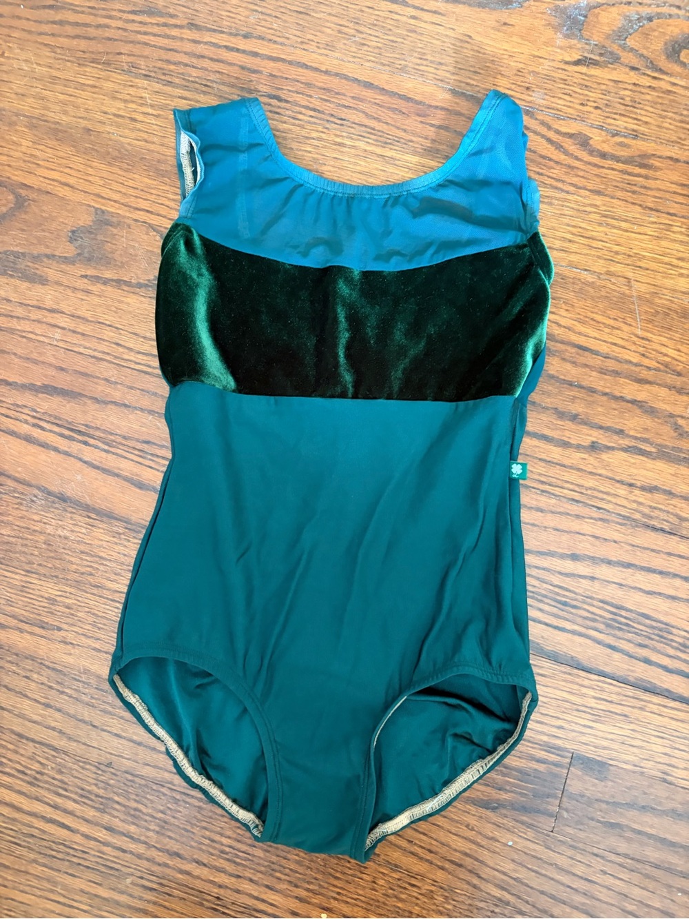 LuckyLeo Emerald Green Leotard